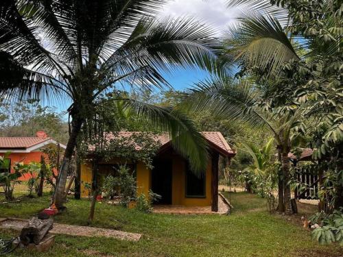 una pequeña casa amarilla con palmeras delante en Casa vacacional Brisas del Mar, en San Juanillo