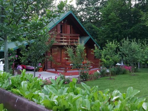 une cabane en rondins avec un jardin en face de celle-ci dans l'établissement Vikendica Crkvina, à Kolašin