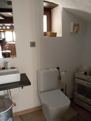 a white bathroom with a toilet and a sink at Inma Enea in Armañanzas