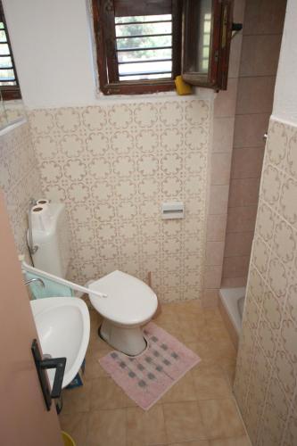 a bathroom with a toilet and a sink at Seaside secluded apartments Cove Skozanje, Hvar - 4624 in Gdinj