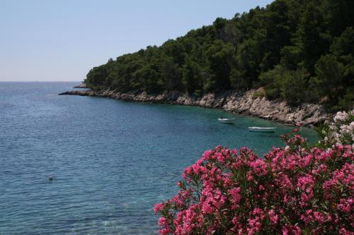 a view of a body of water with pink flowers at Seaside secluded apartments Cove Skozanje, Hvar - 4624 in Gdinj