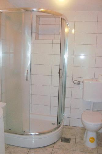a bathroom with a shower and a toilet at Seaside secluded apartments Cove Skozanje, Hvar - 4624 in Gdinj