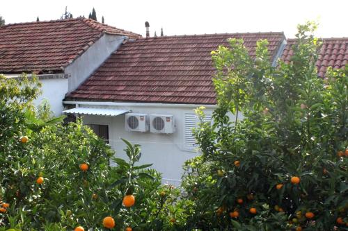 Fotografia z galérie ubytovania Apartments with WiFi Trsteno, Dubrovnik - 4746 v destinácii Trsteno