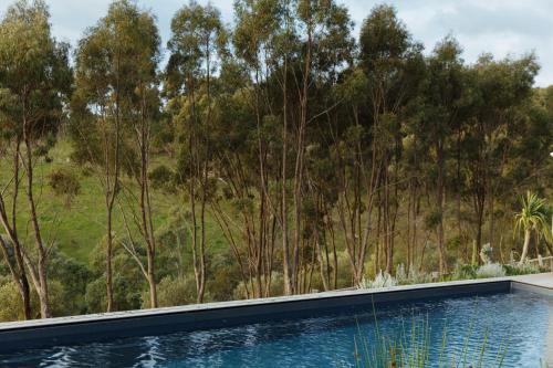 a swimming pool with trees in the background at TIMBA - Luxury bush retreat with pool, spa & gym in The Range