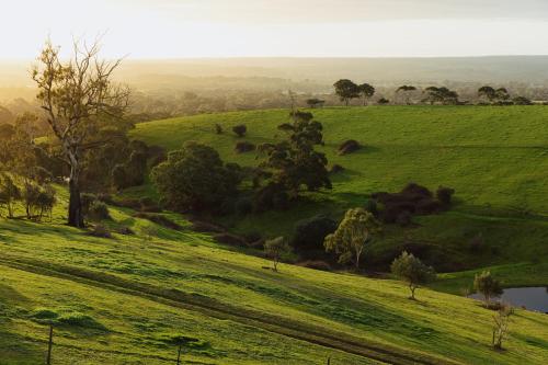 a green field with trees and a river in the middle at TIMBA - Luxury bush retreat with pool, spa & gym in The Range
