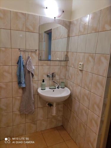 a bathroom with a sink and a mirror at Samostatný rodinný dom in Veľký Meder