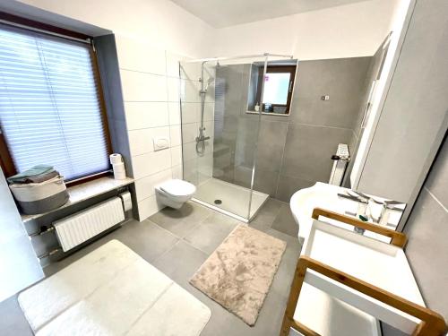 e bagno con doccia, servizi igienici e lavandino. di Freiblick 1 Bad Glbg mit Garten Top1 a Bad Gleichenberg