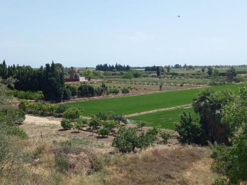 a view of a field with trees and bushes at L'Hortet del iaio in Camarles