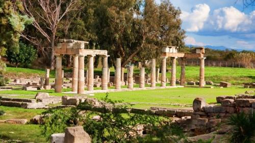 a bunch of columns in a field with trees at HoneyBee 1 - Sunny Studio in the center of Rafina in Rafina
