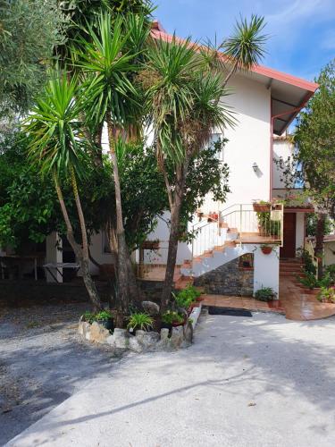 格里索利亞的住宿－b & b Magna Grecia，两棵棕榈树在房子前面