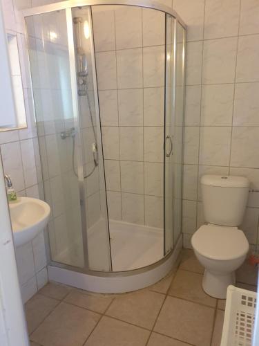 a bathroom with a shower and a toilet and a sink at Apartmány Viola in Štúrovo