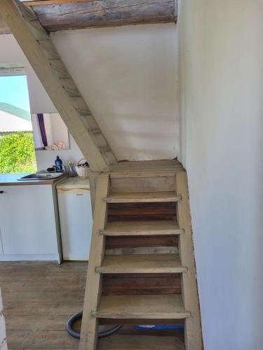 a ladder leading up to a kitchen under a roof at Namas su terasa in Vilnius