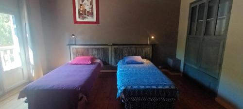 2 Betten in einem Zimmer mit lila und rosa Kissen in der Unterkunft GITE ST HENRY in Laurac