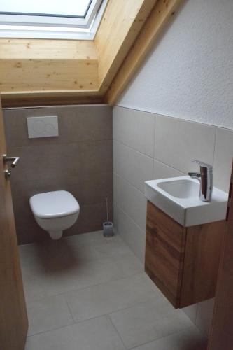 a bathroom with a sink and a toilet with a skylight at Sauers Schwarzwaldglück in Appenweier