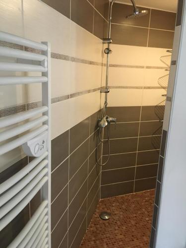 a shower in a bathroom with brown and white tiles at Petite maison de campagne in Recey-sur-Ource