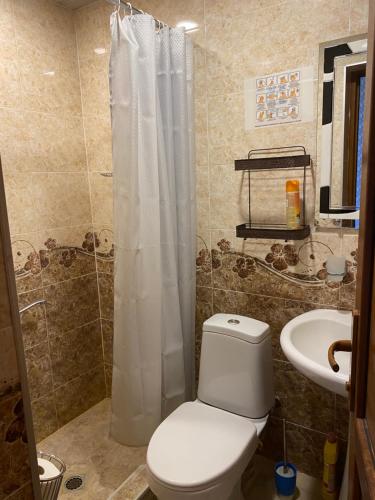 a bathroom with a toilet and a sink at Valiko house in Telavi in Tʼelavi