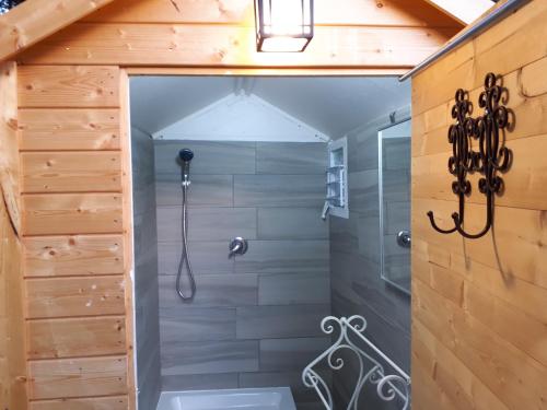 uma casa de banho com um chuveiro e uma cabina de duche em vidro. em חלום בגורן - צימר קט em Metula