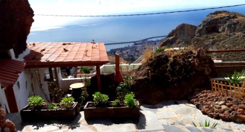 ein Haus mit Topfpflanzen vor einem Berg in der Unterkunft Casa rural Alessia with jacuzzi ,garden & swimming pool in Santa Cruz de Tenerife