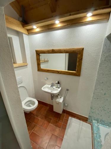 W łazience znajduje się toaleta, umywalka i lustro. w obiekcie Atelier mit Bergblick 