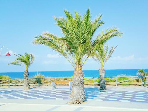 un grupo de palmeras en un suelo de baldosa con el océano en Casa Ilda (Gran Alacant), en Gran Alacant