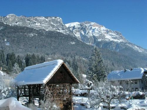 a cabin with snow on it in front of a mountain at Hotel Marko in Nötsch