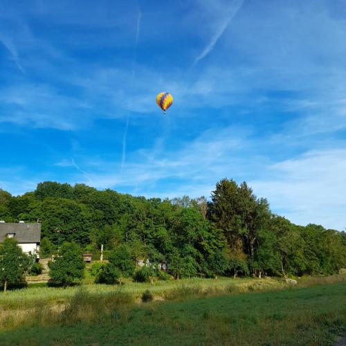 a kite flying in the sky over a field at Gästehaus - Café Frank in Antweiler