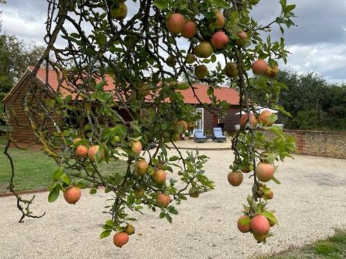 Fotografie z fotogalerie ubytování Walnut Tree Cottage Barn v destinaci Toppesfield