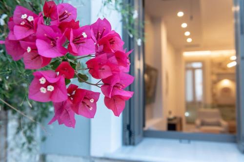 サモスにあるVilla Samos - Renovated stone villa with private pool- 2 min from the sea!のギャラリーの写真