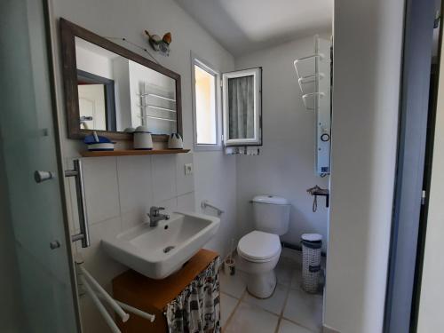 W łazience znajduje się umywalka, toaleta i lustro. w obiekcie Le boisnheur w mieście Gap