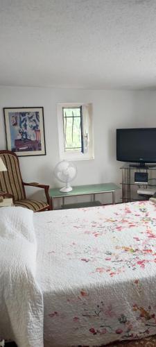une chambre avec un lit et une télévision à écran plat dans l'établissement Maison charmante à Peille + jardin, à Peille