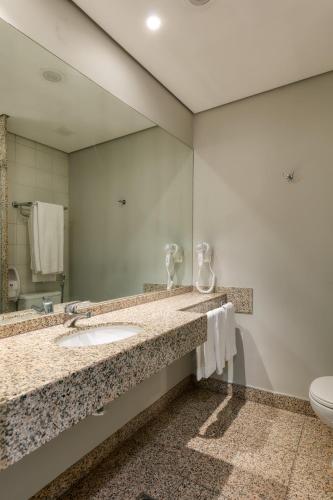 a bathroom with a sink and a mirror and a toilet at Mercure Belo Horizonte Lourdes in Belo Horizonte