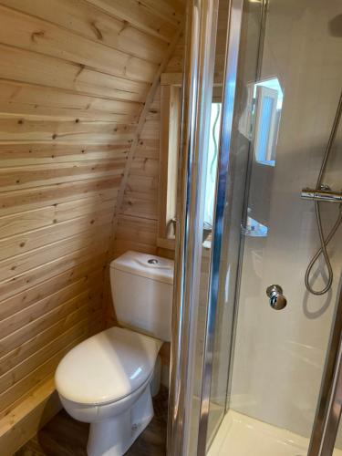 a small bathroom with a toilet and a shower at Le charmant Pod du Parolais in Beauvoisin