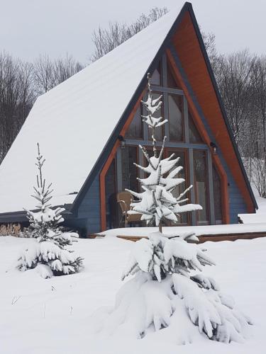 a cabin with a snowcovered tree in front of it at Dosbajka in Małastów