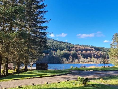 a view of a lake with trees and a mountain at Bonnie Lodge-Lochside Location with Hot Tub in Invergarry