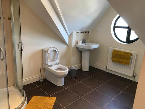 a bathroom with a toilet and a sink at Seaview Haven in Portstewart