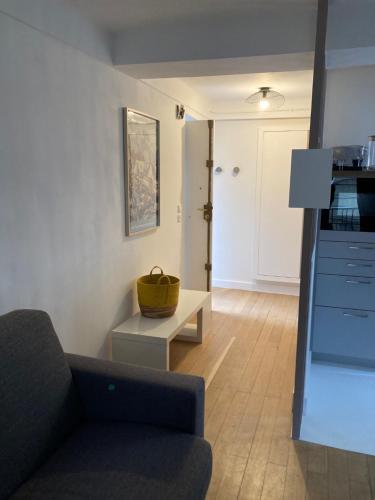 een woonkamer met een bank en een tafel bij Studio Place Massena in Nice