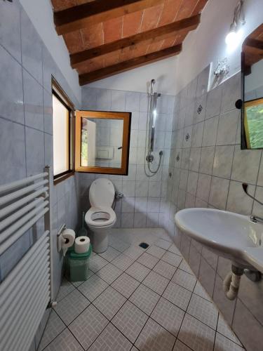a bathroom with a toilet and a sink at Guesthouse Alberti Llogara in Shalë