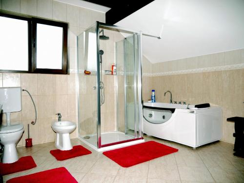 a bathroom with a shower and a sink and a toilet at Casa Izvorul Rarăului in Câmpulung Moldovenesc