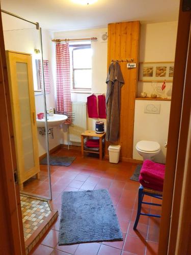 a bathroom with a sink and a toilet and a mirror at Ferienwohnung Hyggebo in Langballig
