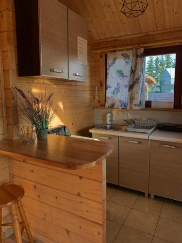 eine Küche mit einer Theke und einem Waschbecken in einer Hütte in der Unterkunft Domki u Wiesi in Giżycko