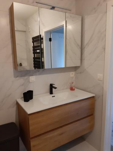 a bathroom with a sink and a mirror at Novia - Op de zeedijk, parkeren mogelijk in Ostend