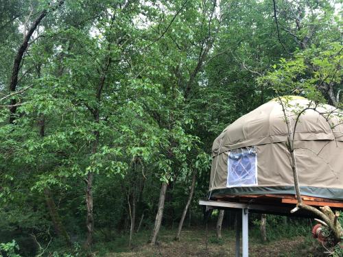 Family Treehouse Yurt in Nature Reserve with Pool and outdoor kitchen