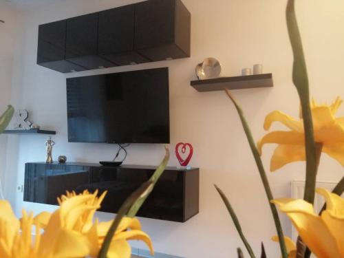 A television and/or entertainment centre at APARTMAN NATALI***