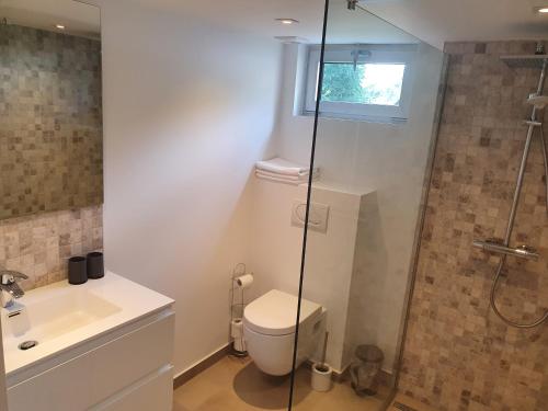 a bathroom with a toilet and a shower and a sink at Aux 4 vents - Malmedy in Malmedy