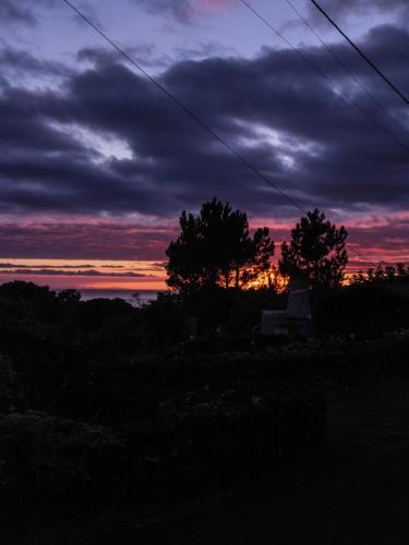 a sunset with two trees in a field at Casas do Amarelo in São Mateus