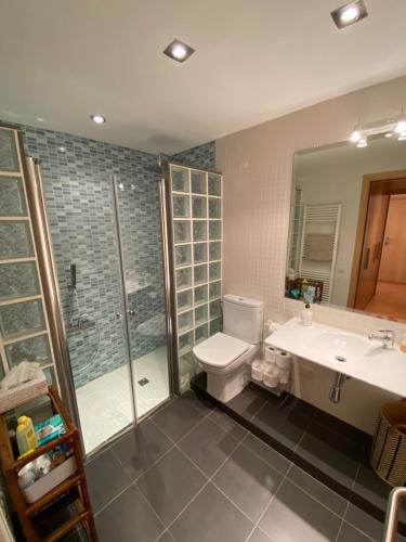 een badkamer met een toilet, een wastafel en een douche bij Els Verns in Ribes de Freser