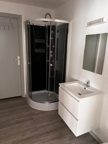 ein Bad mit einer Dusche und einem weißen Waschbecken in der Unterkunft F2 gatinais in Pithiviers