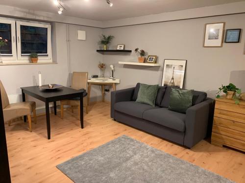 un salon avec un canapé et une table dans l'établissement Top Studio Appartement im Grünen nah Phantasialand, à Brühl
