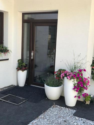 tre vasi di fiori bianchi davanti a una porta di Izba v čarovnom dome a Svätý Jur