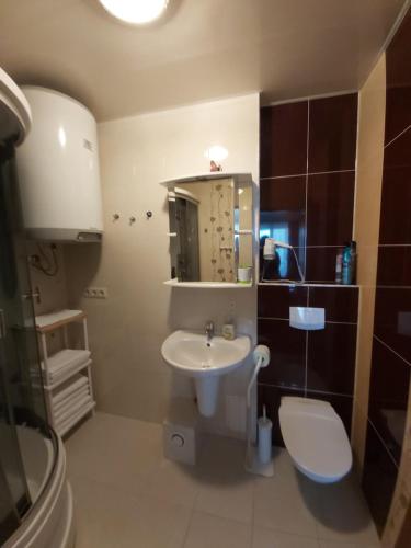 a bathroom with a sink and a toilet at Atgiris in Palanga